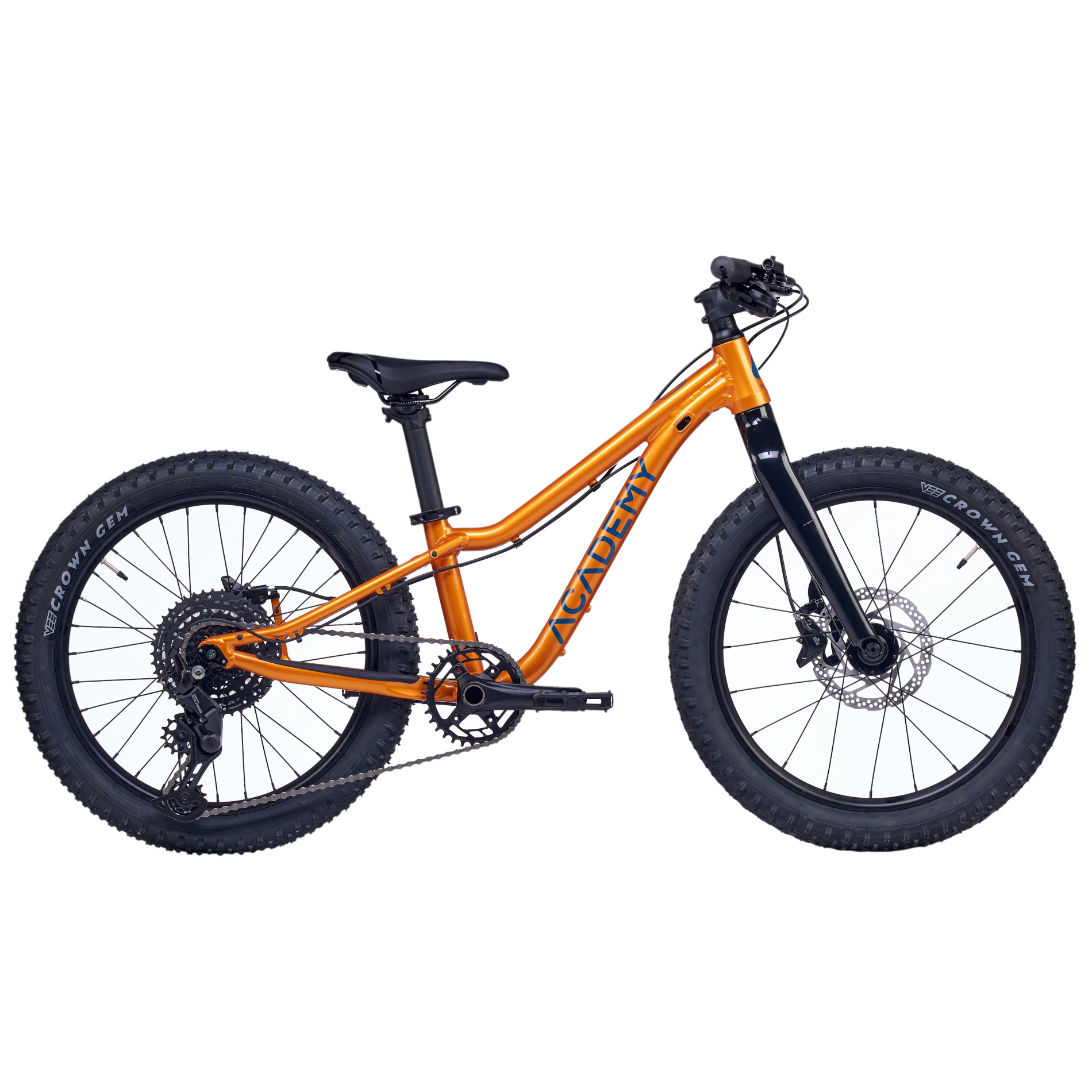 Academy Trail 4 R - 20' Kinder Mountainbike - 2026 - Bernstein