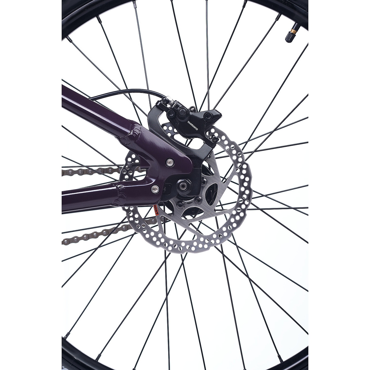 Academy PUMP 5 - 24' Kinderfahrrad - 2026 - plum - Image 8